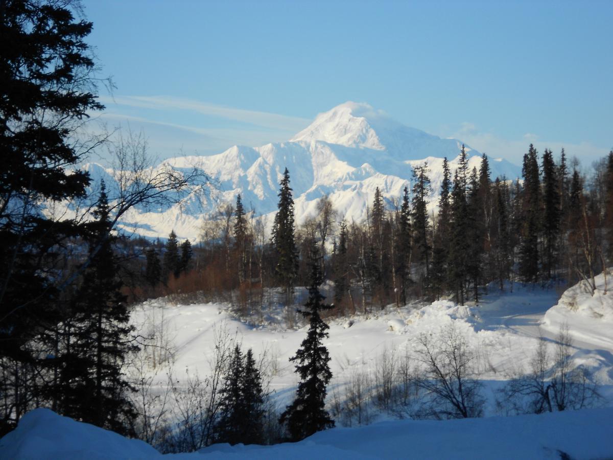Denali Primrose Bed & Breakfast Healy Kültér fotó